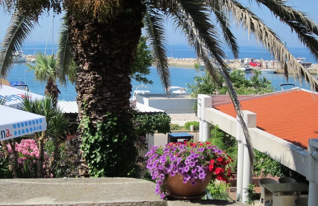 Guesthouse Punta Mira - Beachfront-1